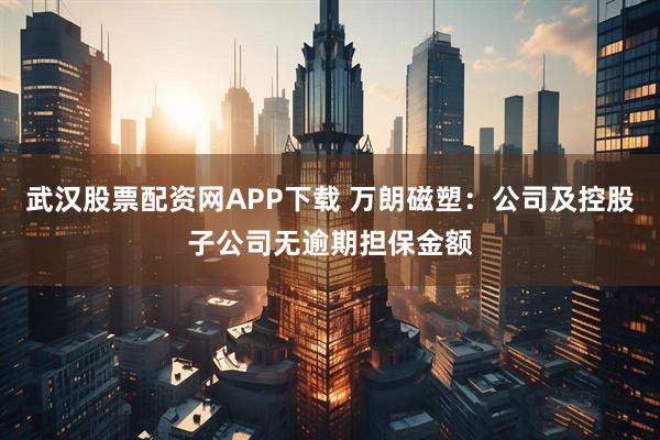 武汉股票配资网APP下载 万朗磁塑：公司及控股子公司无逾期担保金额