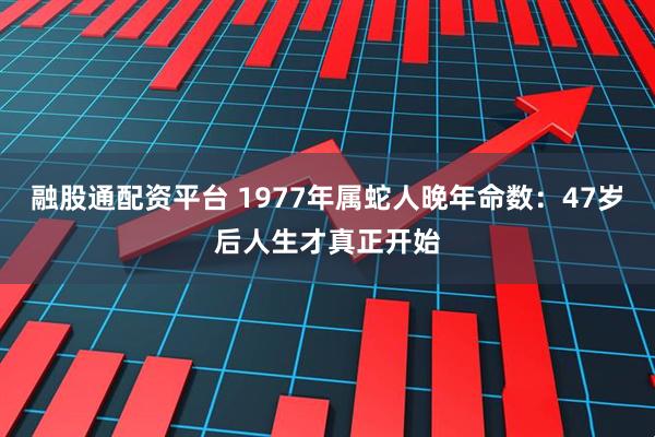 融股通配资平台 1977年属蛇人晚年命数：47岁后人生才真正开始