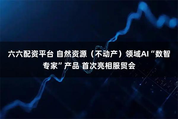 六六配资平台 自然资源（不动产）领域AI“数智专家”产品 首次亮相服贸会
